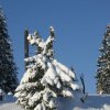 20050226_Oberegg_174